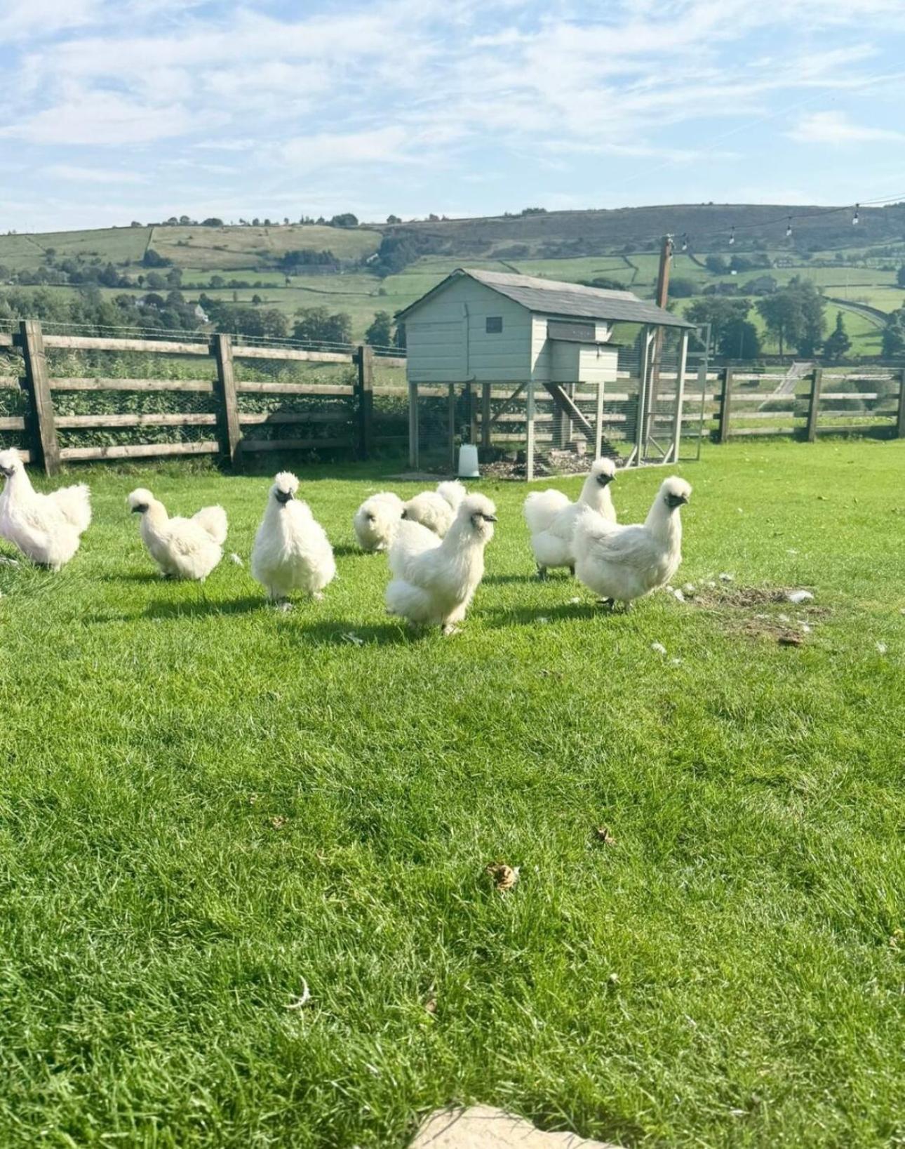 Bents Holiday Cottage Oxenhope Экстерьер фото